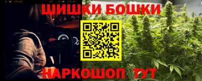 гашик Гатчина