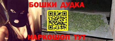 гашик Гатчина