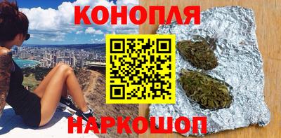 гашик Гатчина