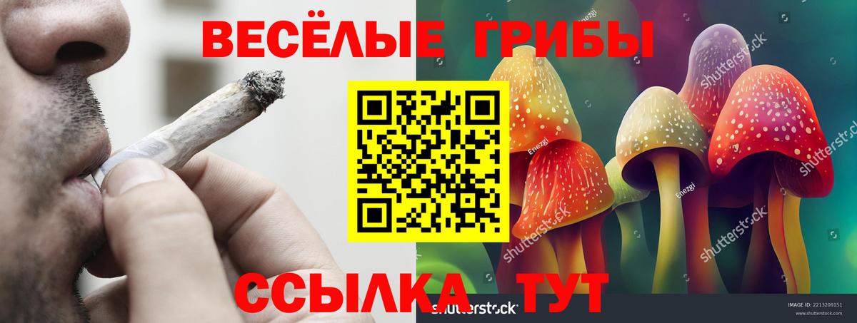 Миасс  Галлюциногенные грибы Cubensis  Вход с VPN  Галлюциногенные грибы Cubensis 